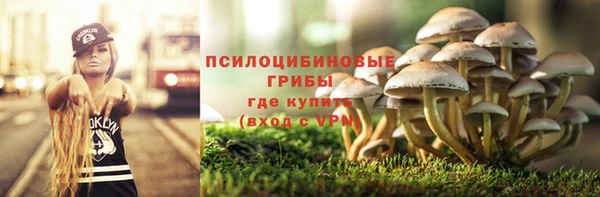 ECSTASY Краснослободск